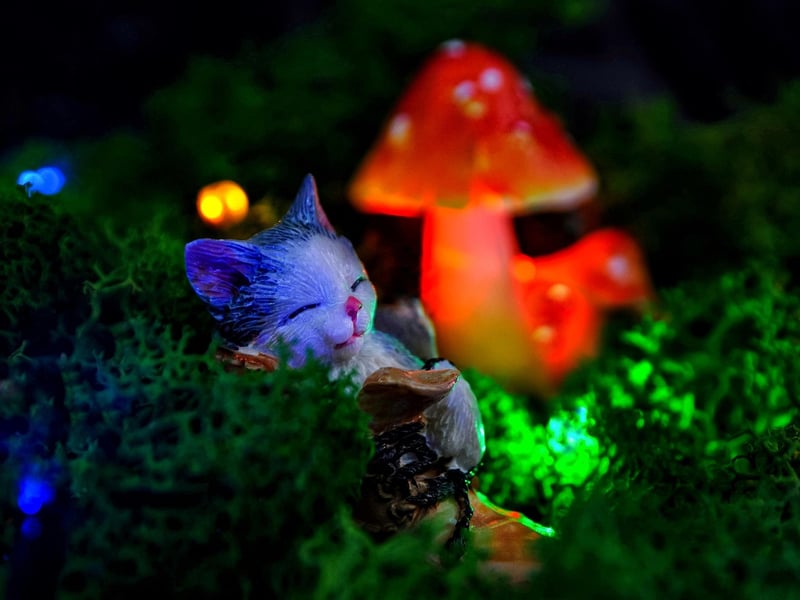 Whimsical Woodland Decor